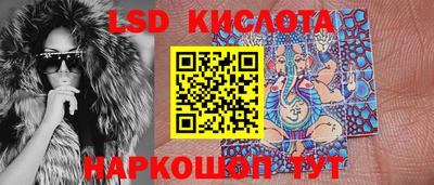 стаф Можга