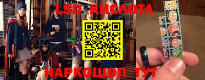 стаф Можга