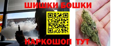 стаф Можга