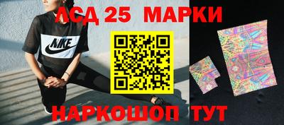 стаф Можга