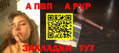 стаф Можга