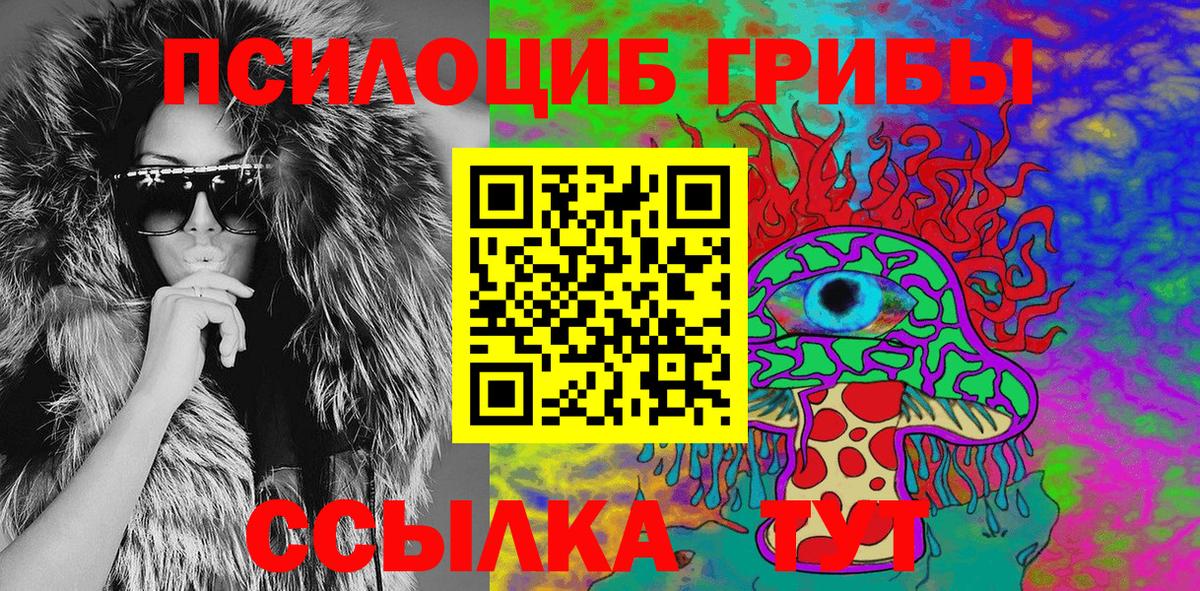 Владимир  Псилоцибиновые грибы Magic Shrooms  Вход с VPN 